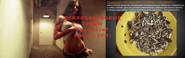 jwh Аркадак