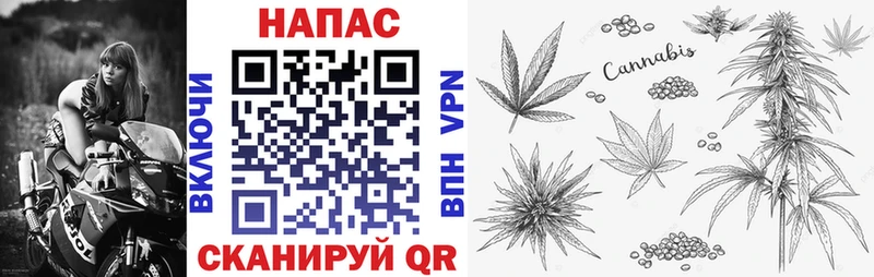 МАРИХУАНА THC 21%  ссылка на мегу сайт  Спасск-Дальний  как найти наркотики 